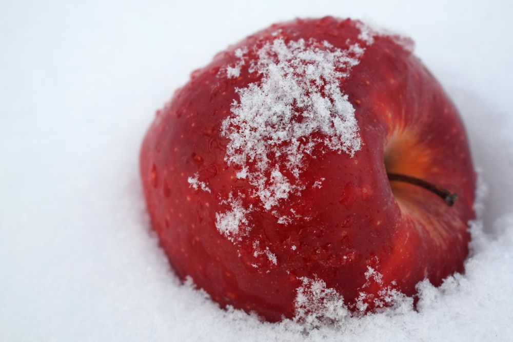 Photograph by Татьяна Дорожко