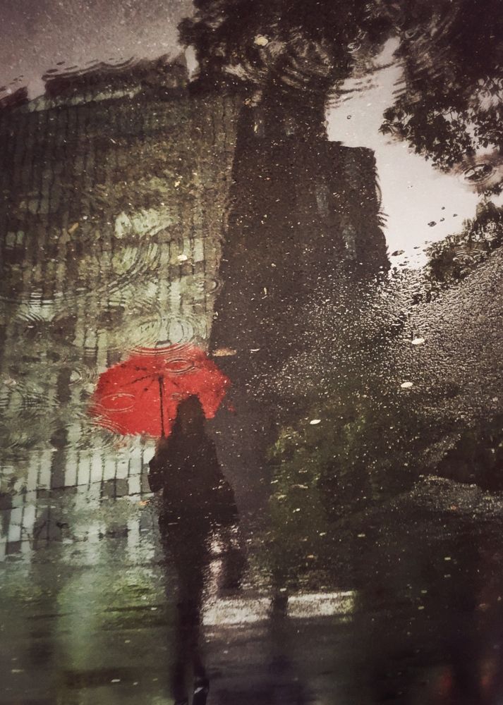 Photograph by Paul Suciu