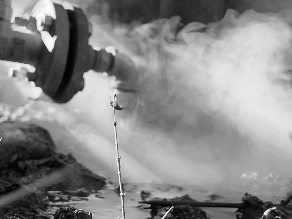 Photograph by Шевалье Татьяна