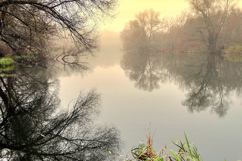 Осеннее отражение в тумане