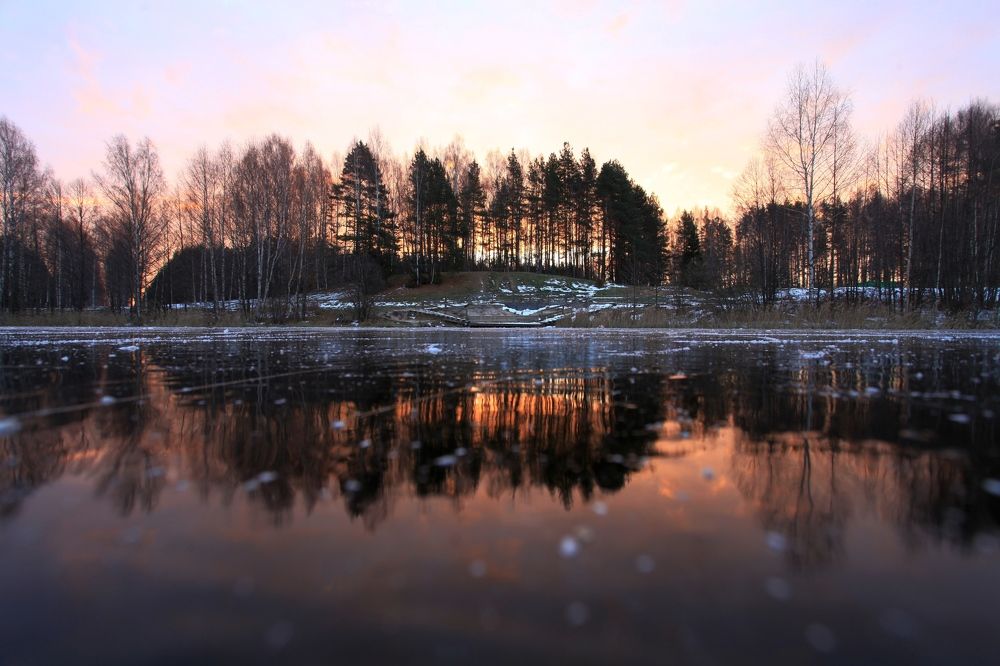 Photograph by 