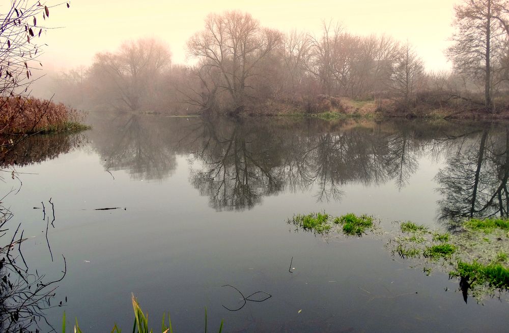 Вечернее отражение в тумане