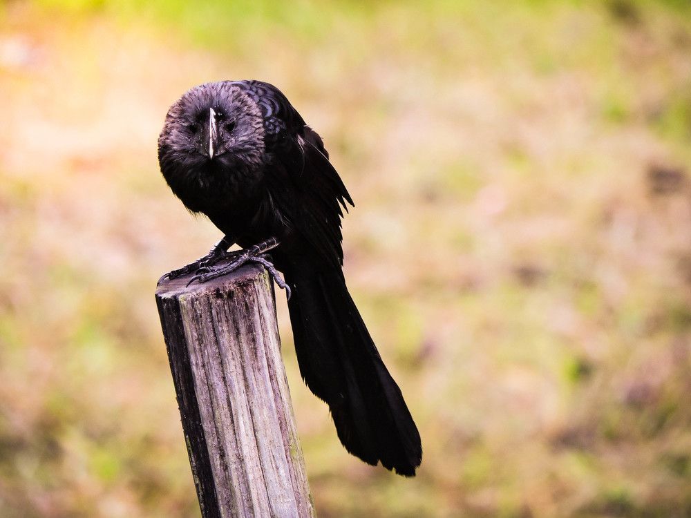 Photograph by Patrícia Helena