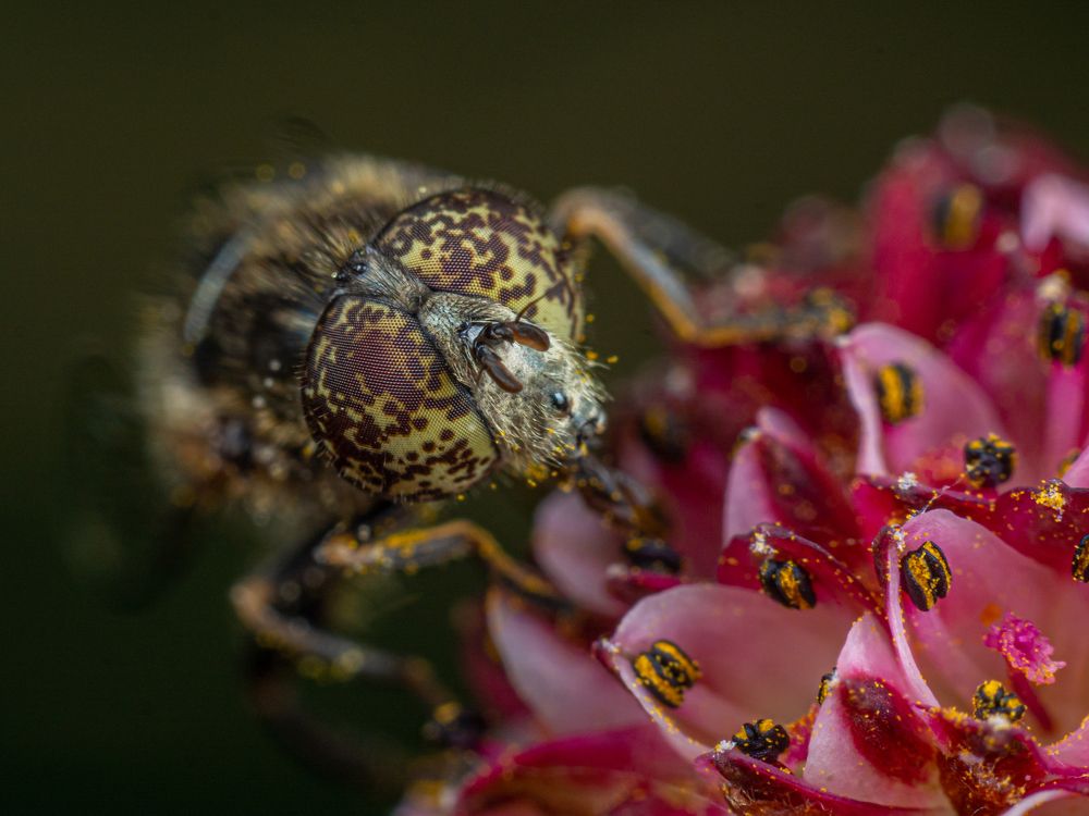 Photograph by Дмитрий Колеватов