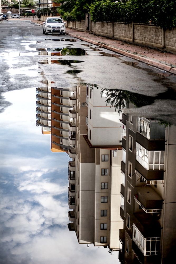 Photograph by DAMOUN POURNEMATI