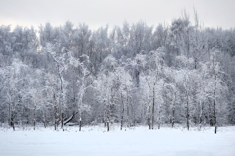снежные танцы ив