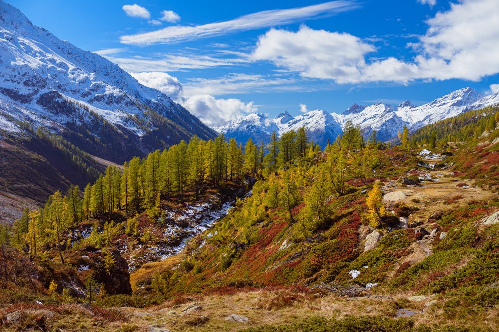 Photograph by Yulia Sosedova