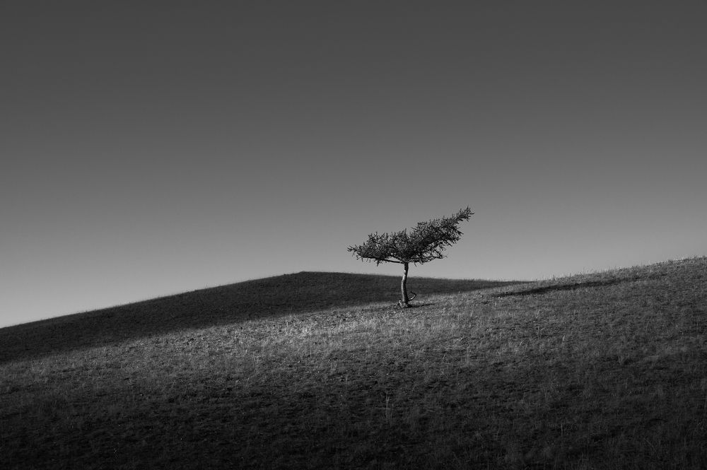 Фотография автора  Евгений