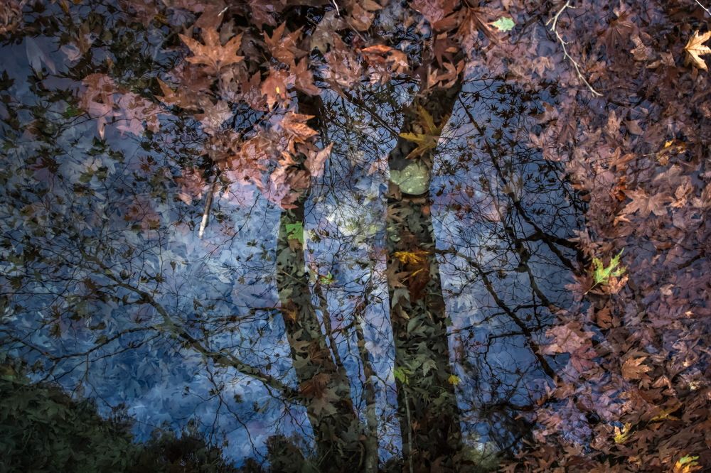 Photograph by Panagiotis Grammatikakis