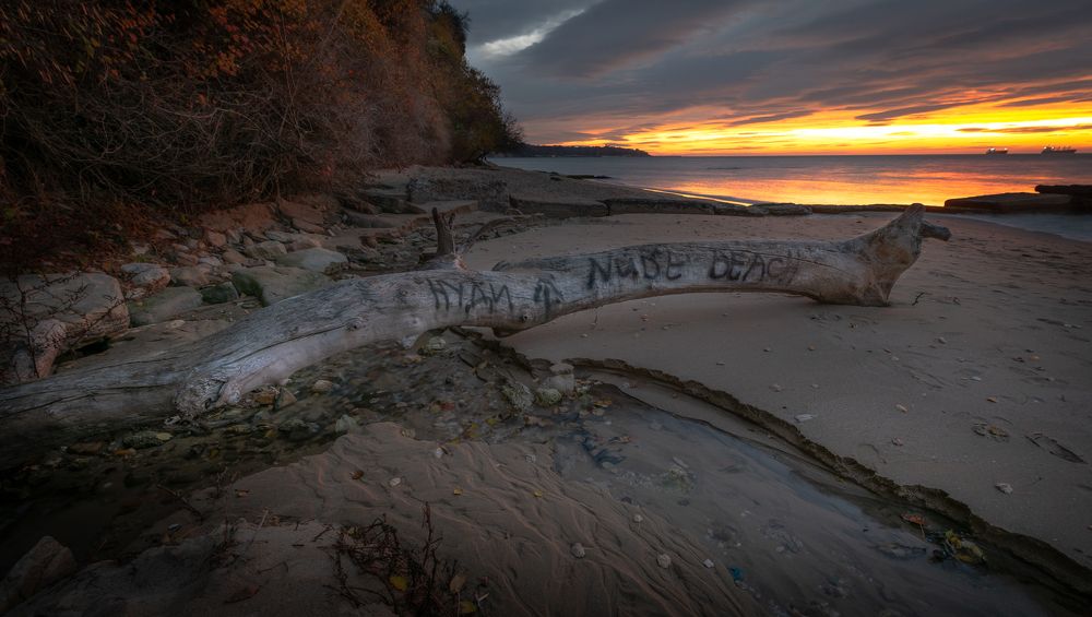 Фотография автора stoyan pavlov