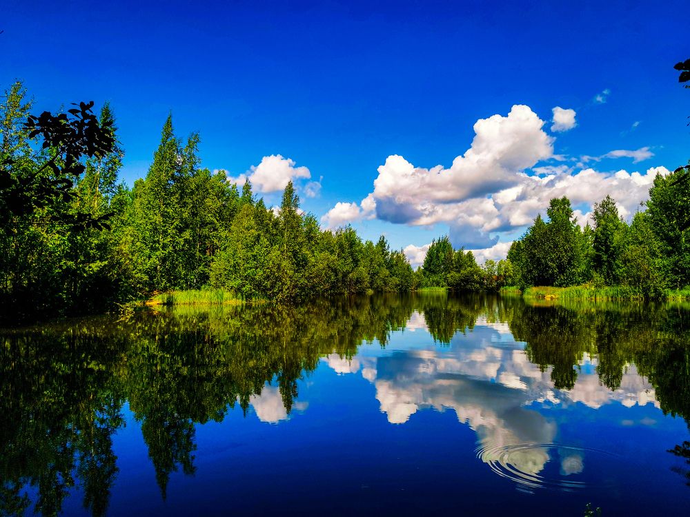 Параллельные миры