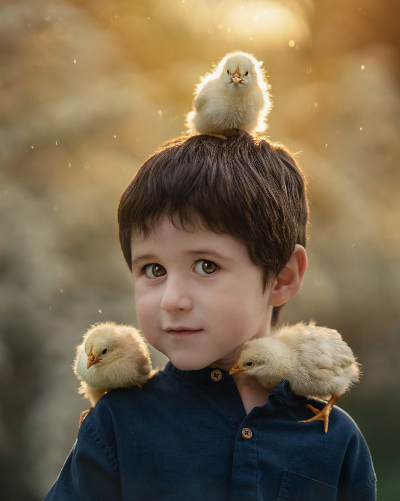 Photograph by Amalia Zilio