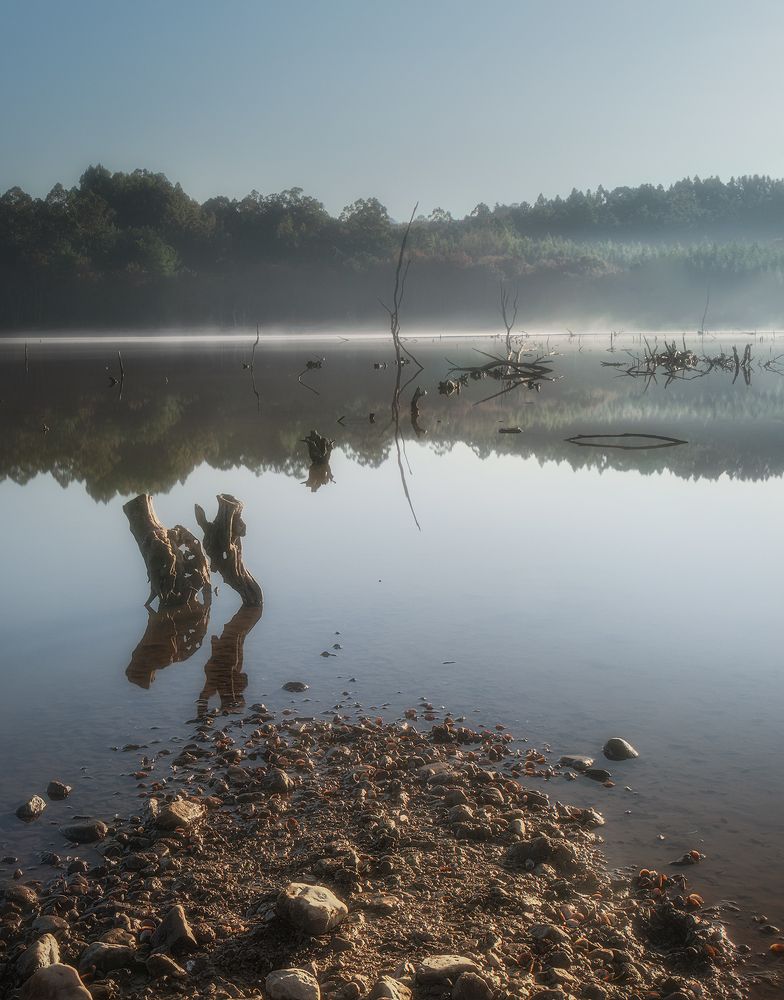 Photograph by Roberto SANMARTIN ALMEIDA