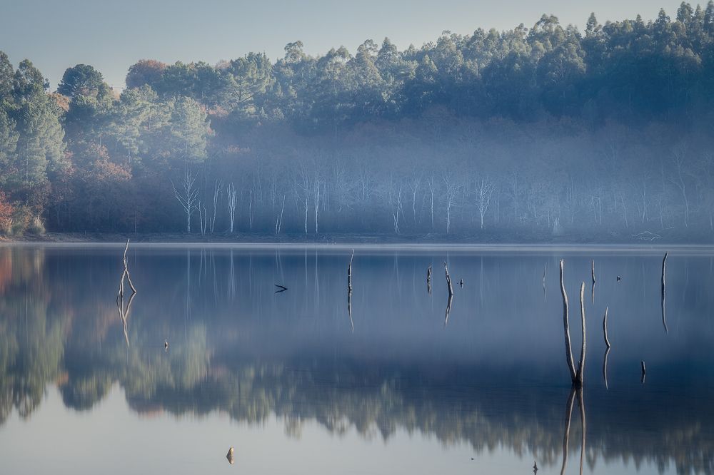 Photograph by Roberto SANMARTIN ALMEIDA