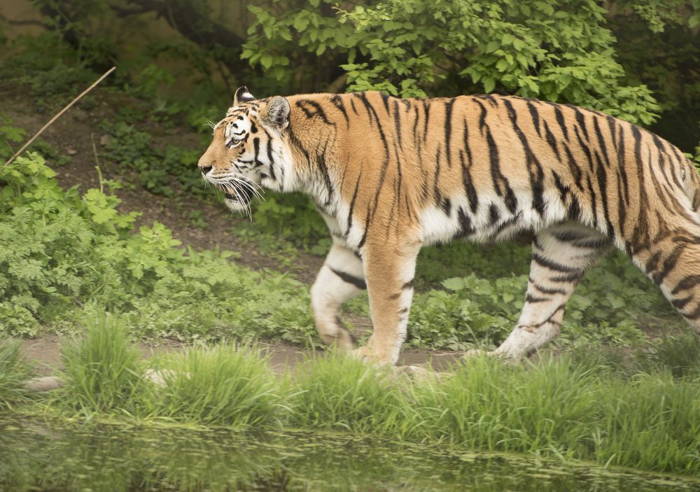 Фотография автора stoyan pavlov