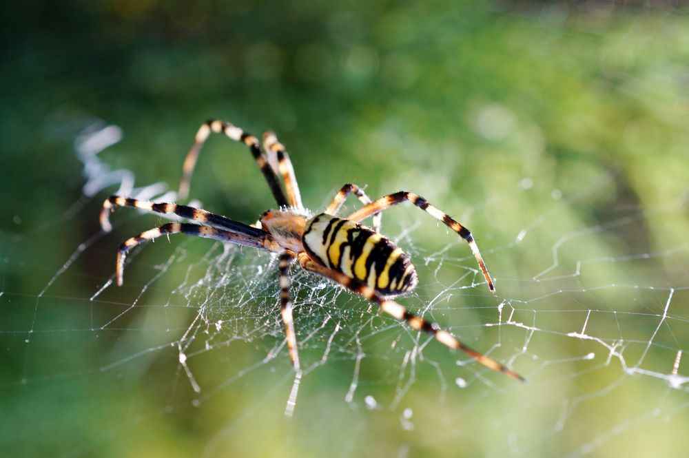 Photograph by Danyliuk Ruslan