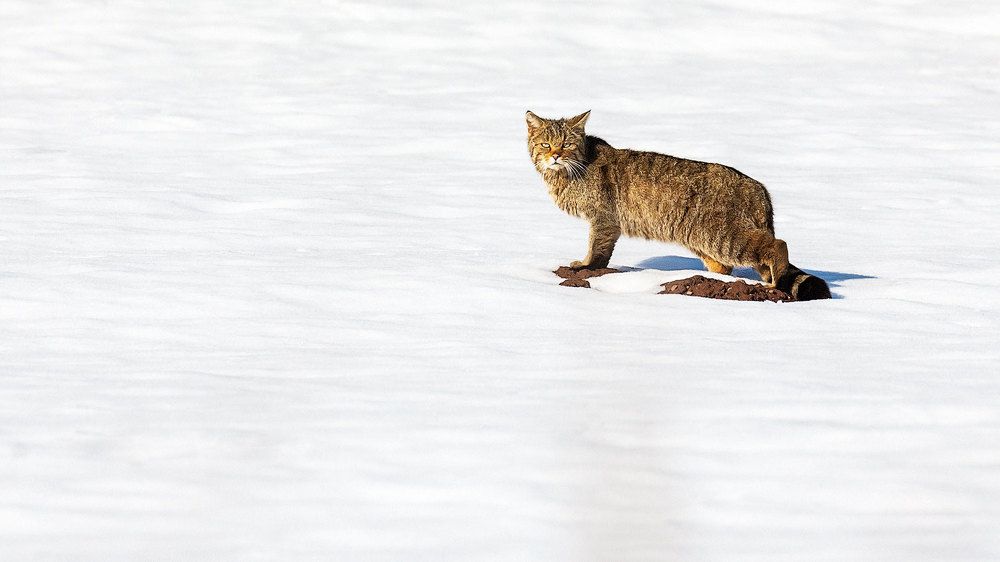 Photograph by Petya Petkova