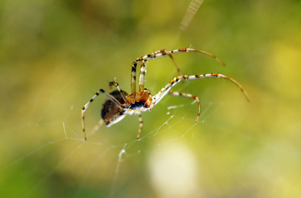 Photograph by Danyliuk Ruslan