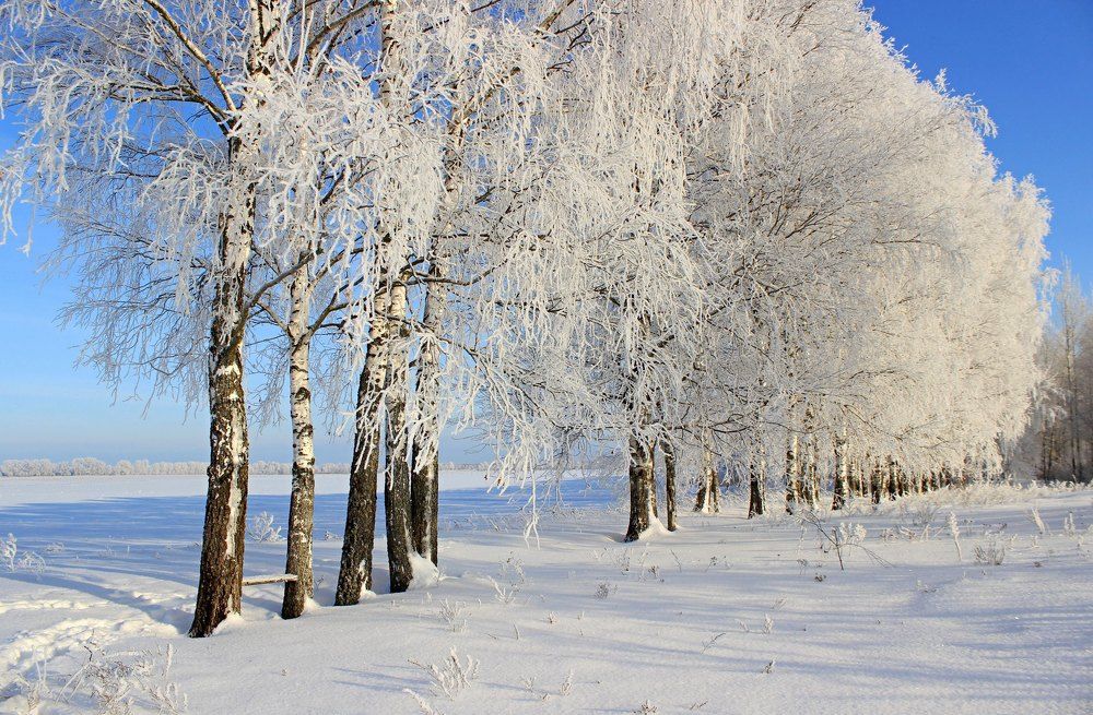 Зимний день.