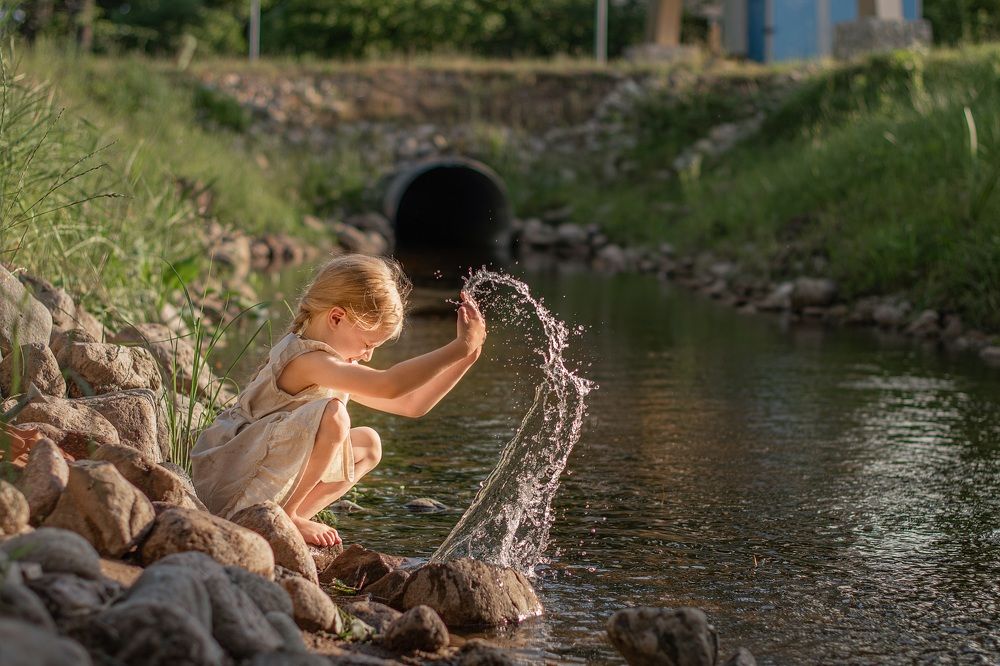 Фотография автора Светлана Дроголюбова