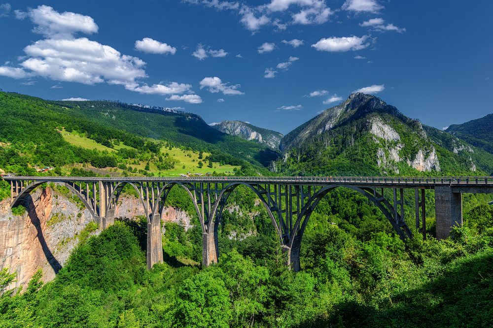 Photograph by Elena Gureva