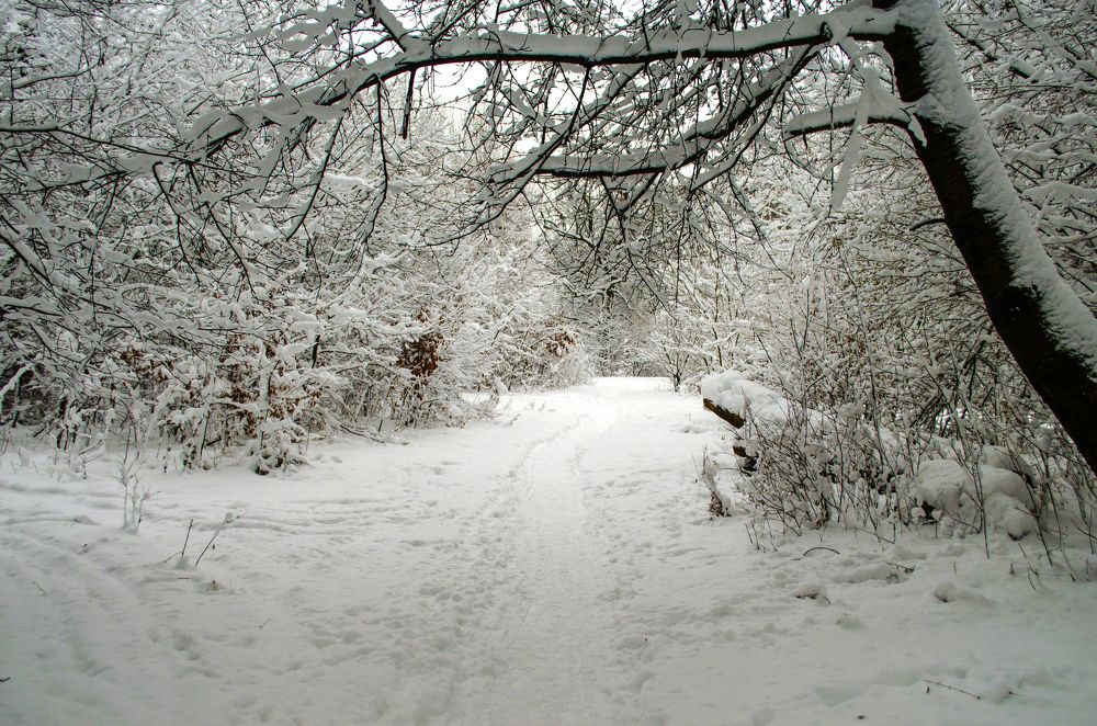 Photograph by Евгений Каримов