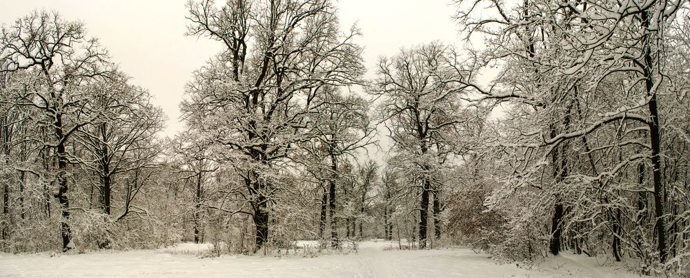 Photograph by Евгений Каримов