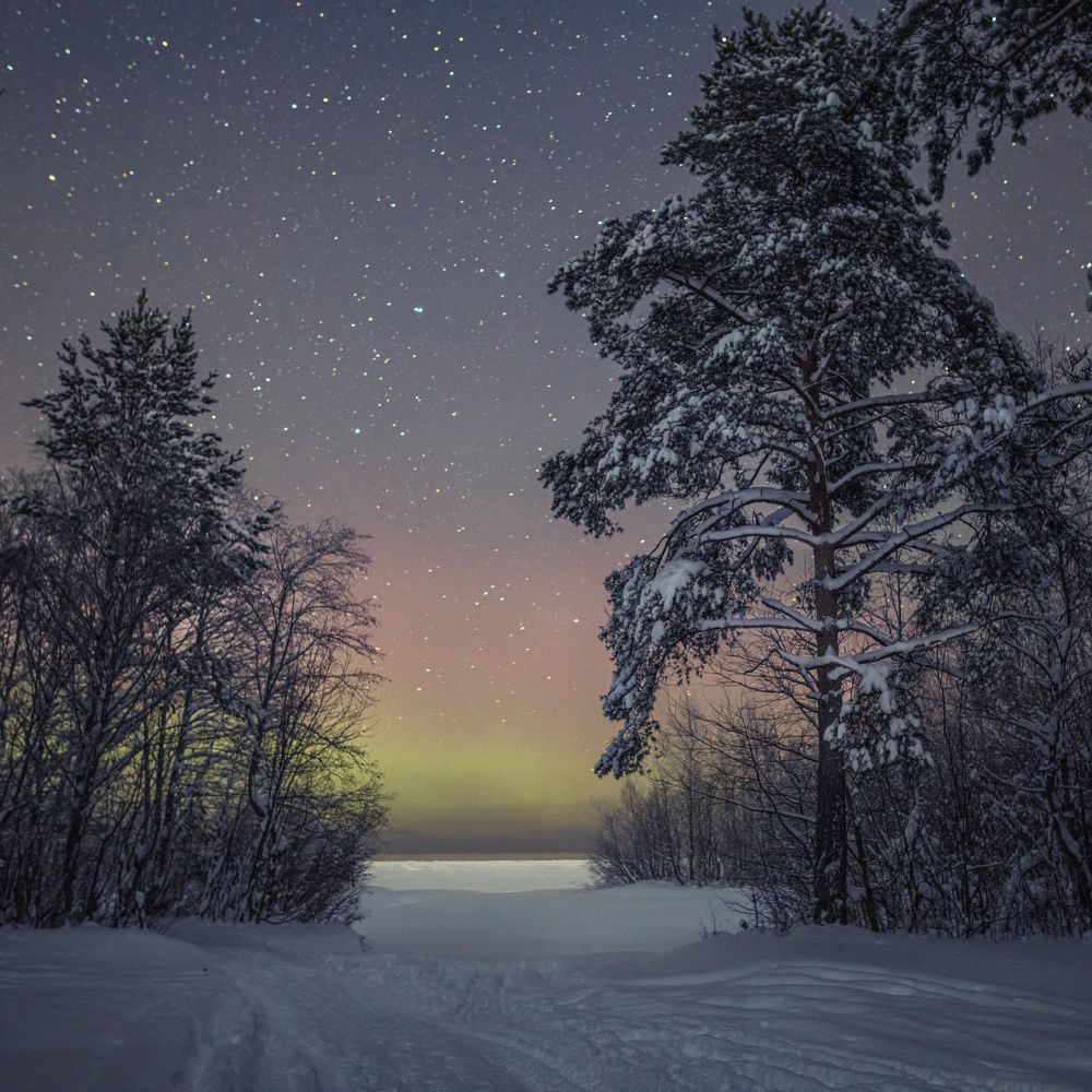 Photograph by Elena Gureva