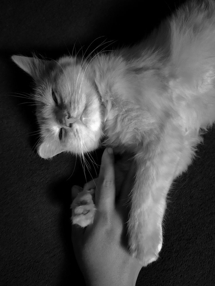 Photograph by Dede Deka