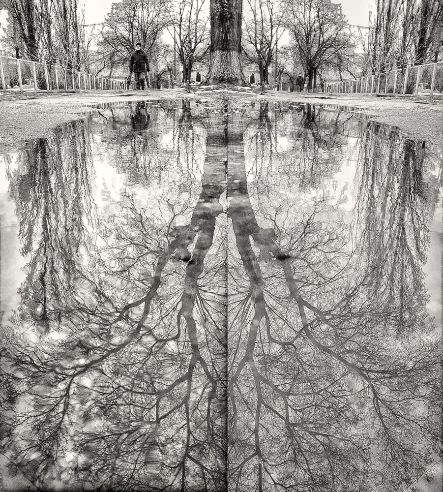 Photograph by Ольга Кудина