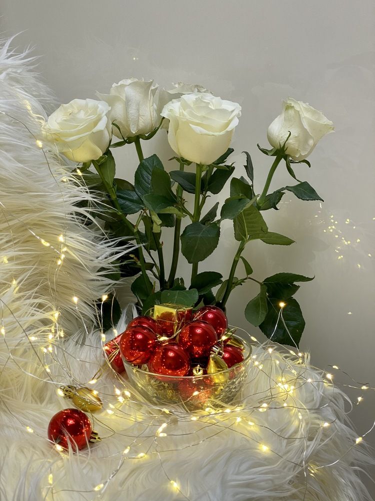 Photograph by Marina