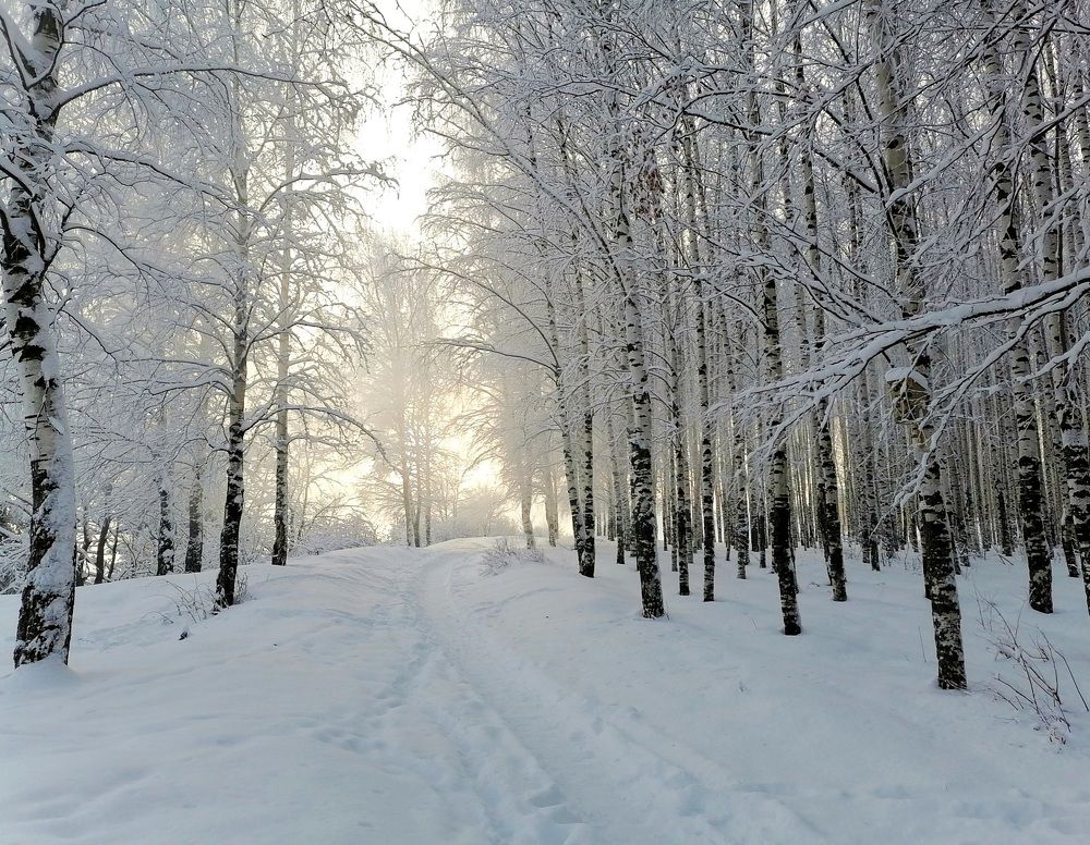 Photograph by Ольга