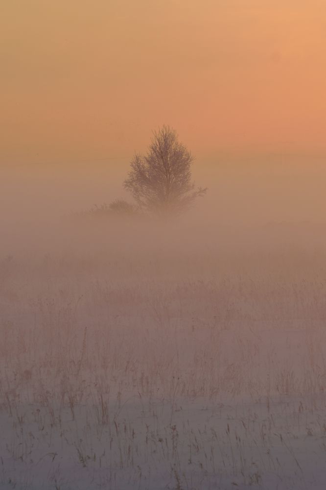 Photograph by Константин Зоткин