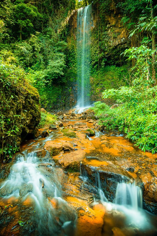 Фотография автора Andy Nguyen