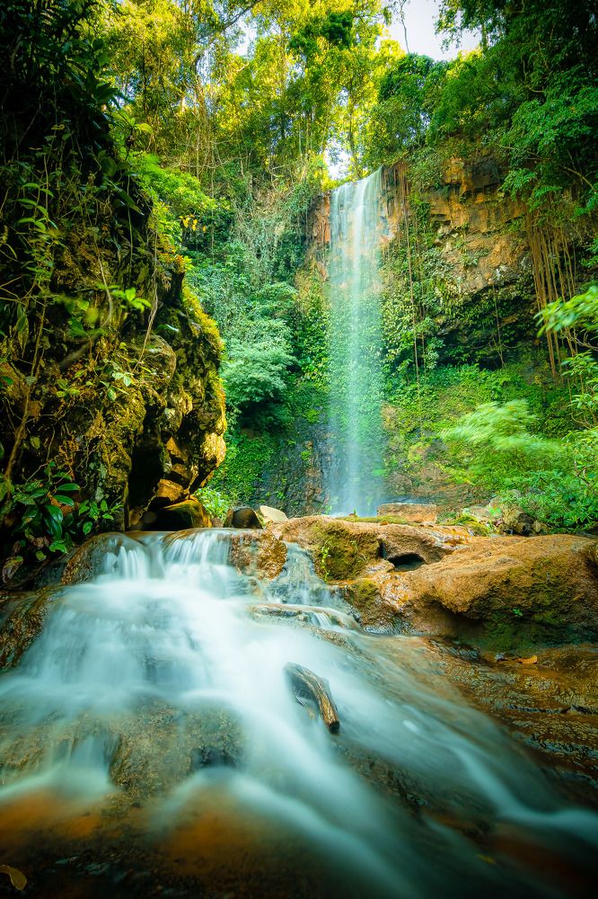 Фотография автора Andy Nguyen