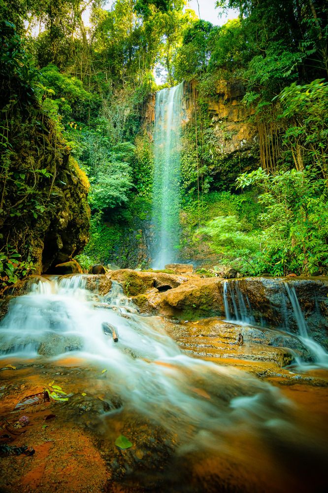 Фотография автора Andy Nguyen