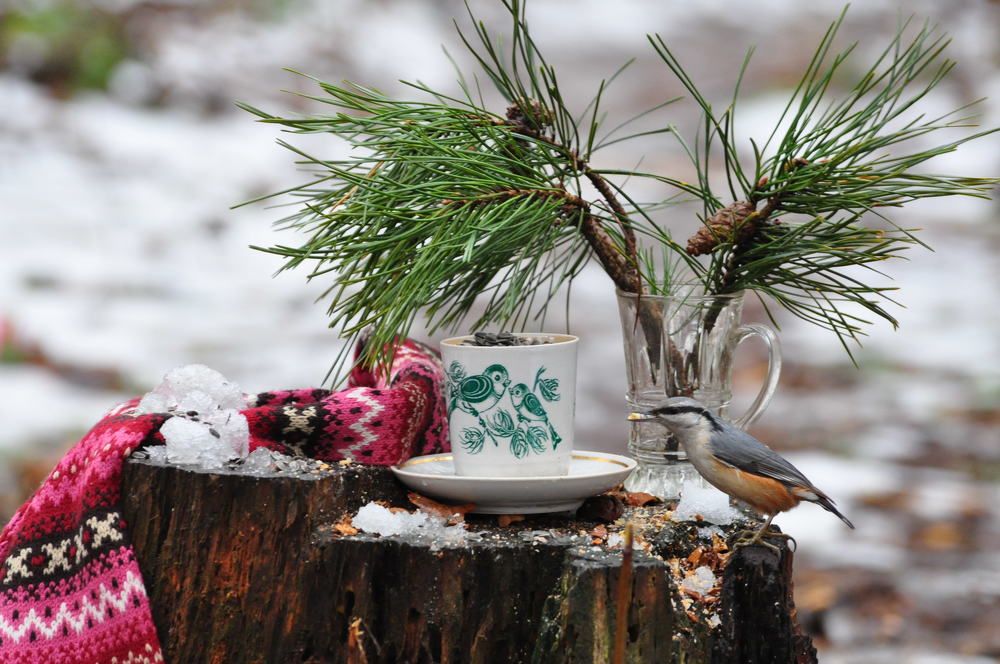 Photograph by Svitlana Andrieianova