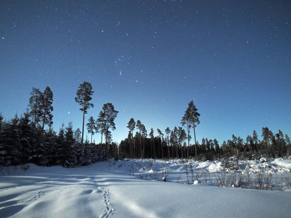 Orion stars / Latvia 12.2021