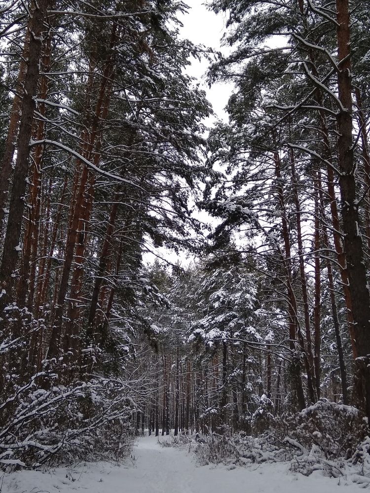 Photograph by Татьяна Куликова