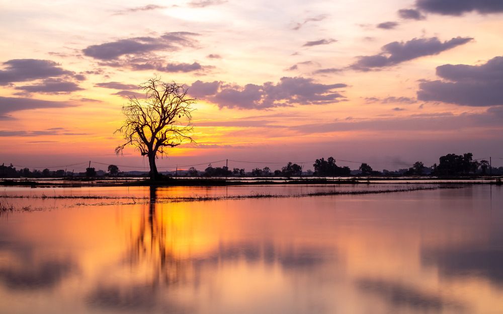 Фотография автора Andy Nguyen