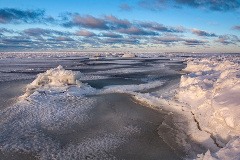 Берег Балтийского моря