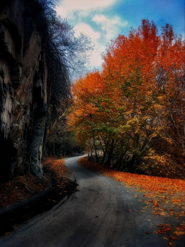 Autumn Road