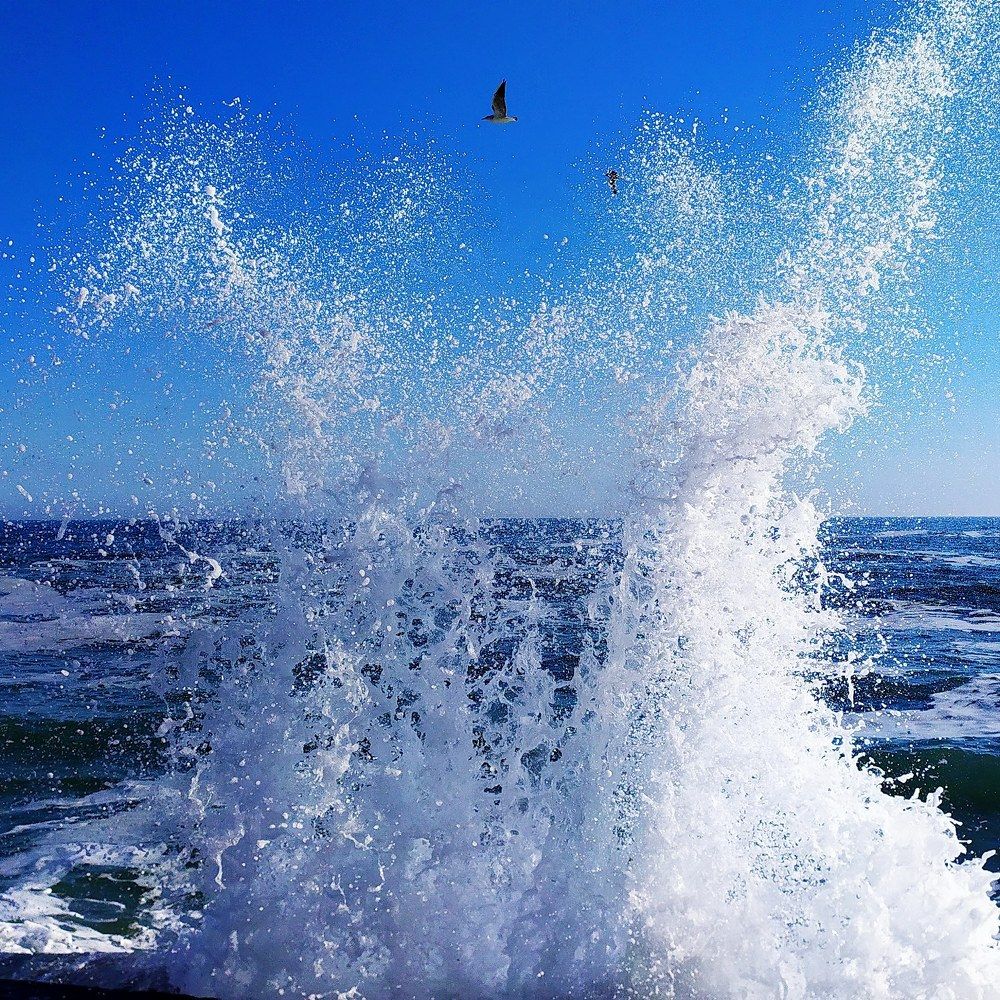 Photograph by Ольга Капко