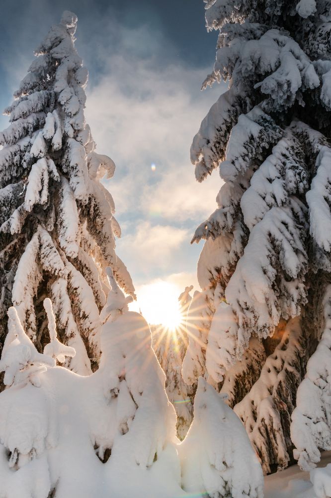 Photograph by Denisa Miazdrová