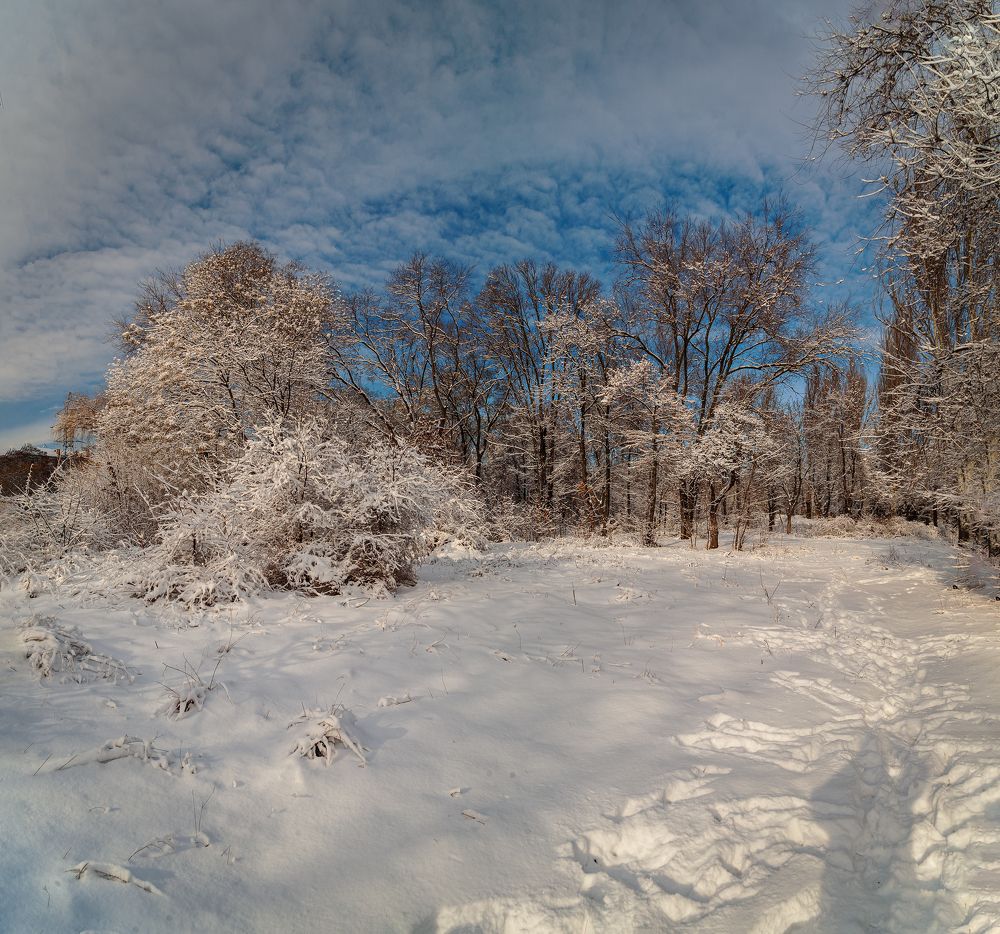 Пять минут декабря.