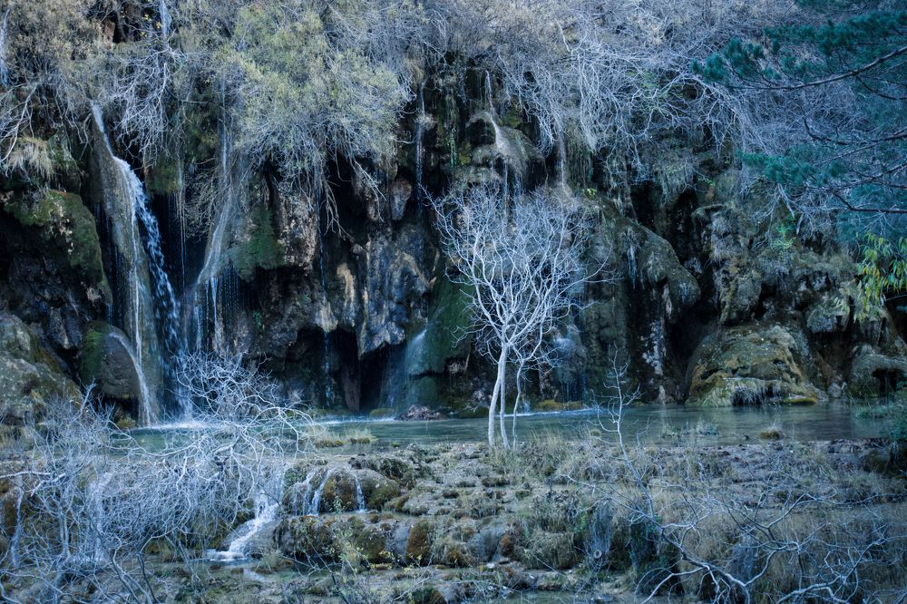 Photograph by CARMEN RAMON CAMI