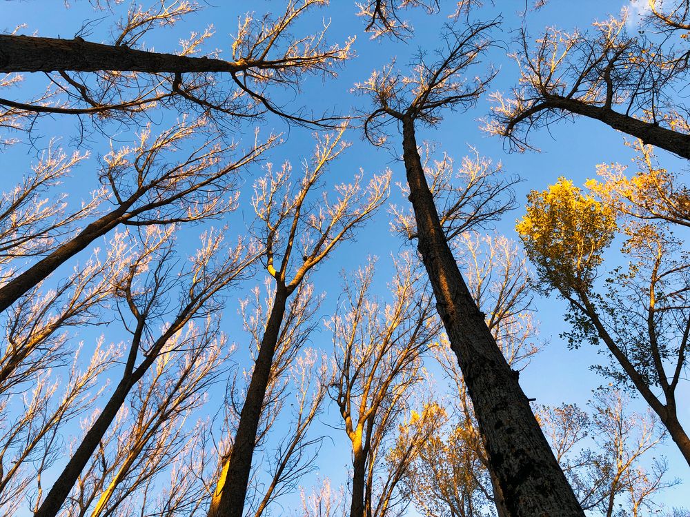 Photograph by CARMEN RAMON CAMI