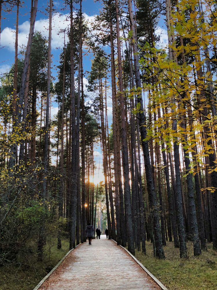 Photograph by CARMEN RAMON CAMI