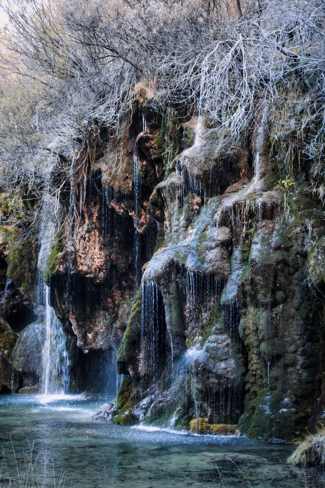 Photograph by CARMEN RAMON CAMI