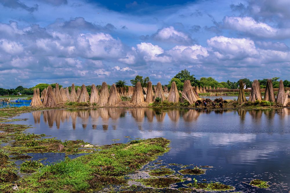 Фотография автора Dipayan Biswas